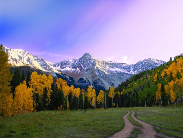 Telluride Condo 950022