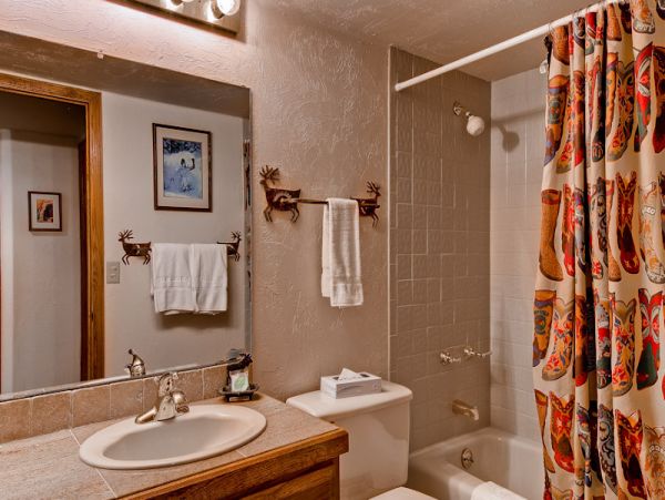 Steamboat Springs Condo 950023