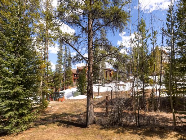 Breckenridge Condo 950024