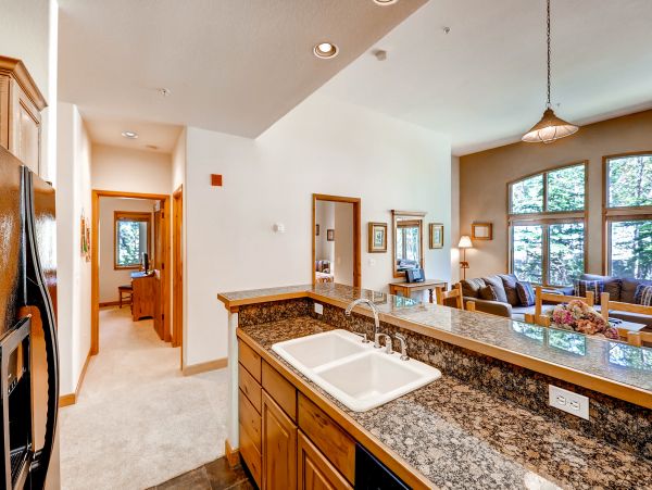 Breckenridge Condo 950024