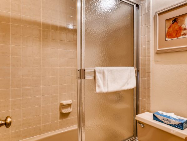 Steamboat Springs Condo 950025
