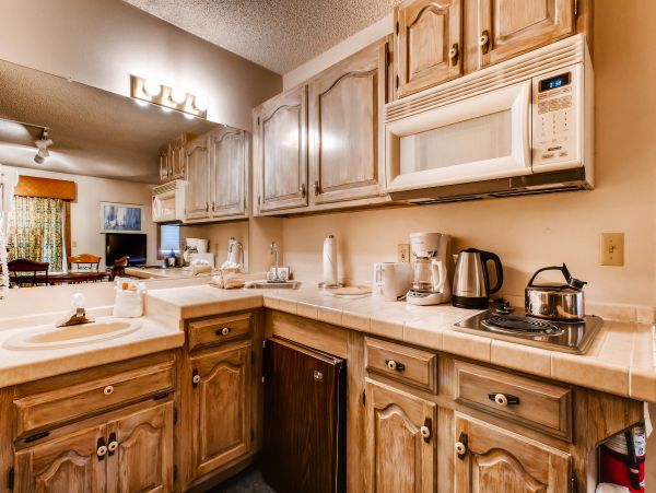 Steamboat Springs Condo 950025