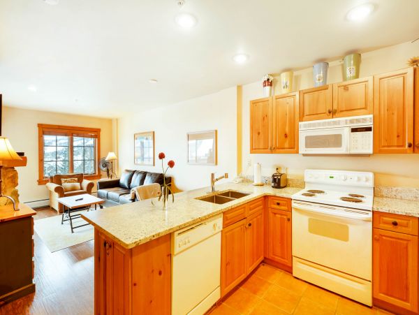Breckenridge Condo 950026