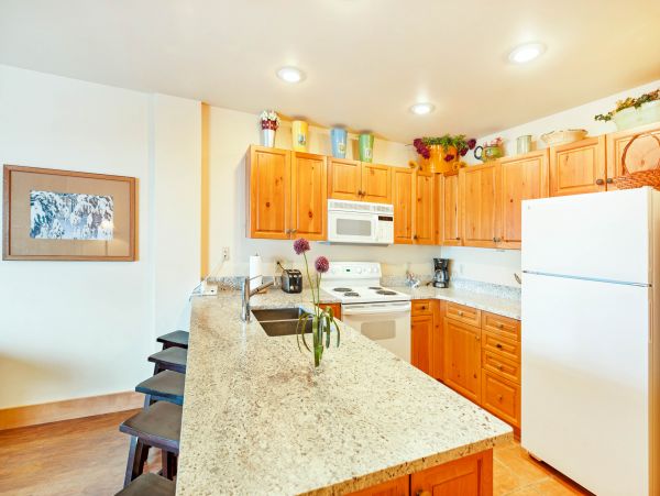 Breckenridge Condo 950026