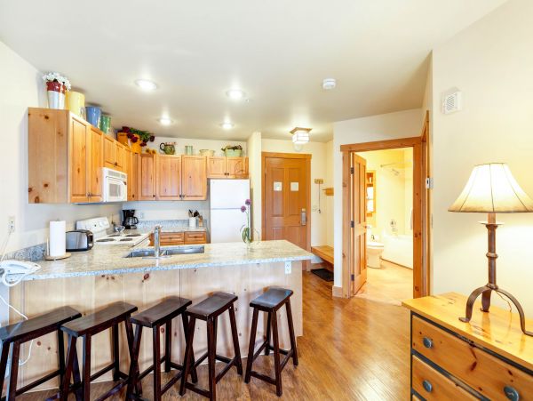 Breckenridge Condo 950026