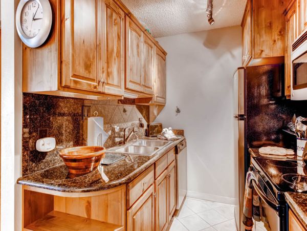 Steamboat Springs Condo 950028