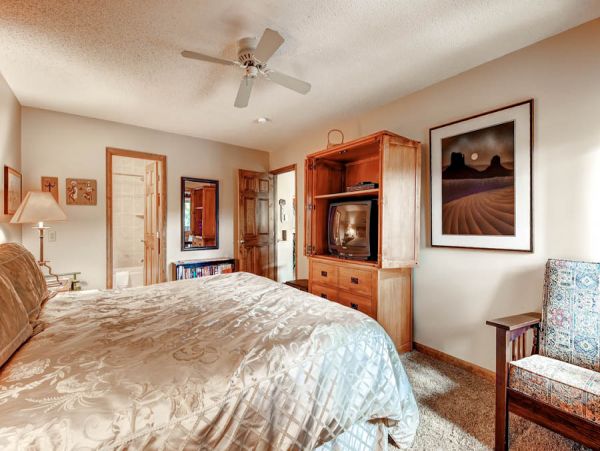 Steamboat Springs Condo 950028