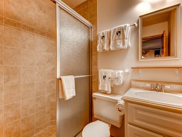 Steamboat Springs Condo 950028