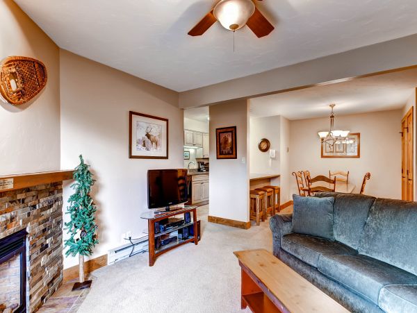 Steamboat Springs Condo 950033