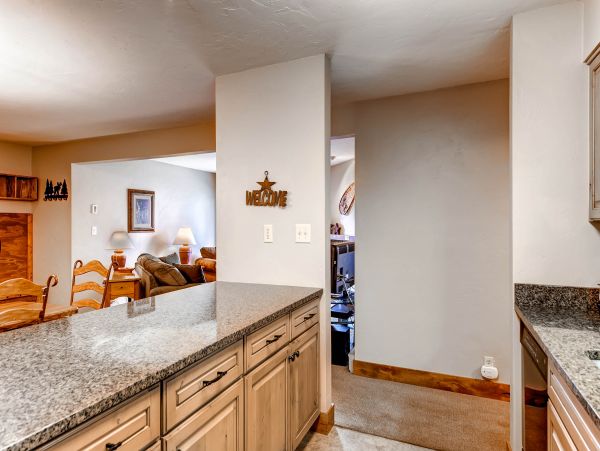 Steamboat Springs Condo 950033
