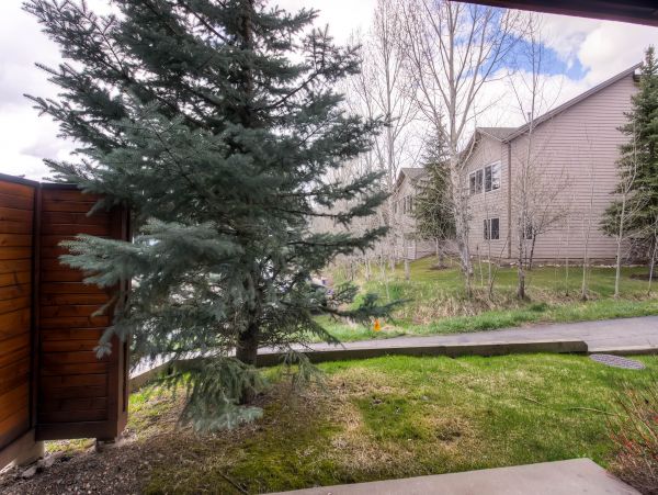 Steamboat Springs Condo 950033