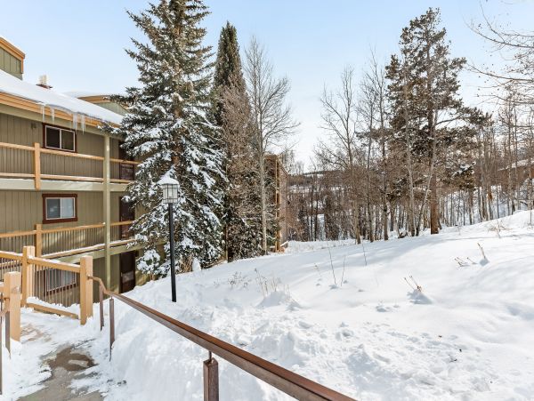 Breckenridge Condo 950037