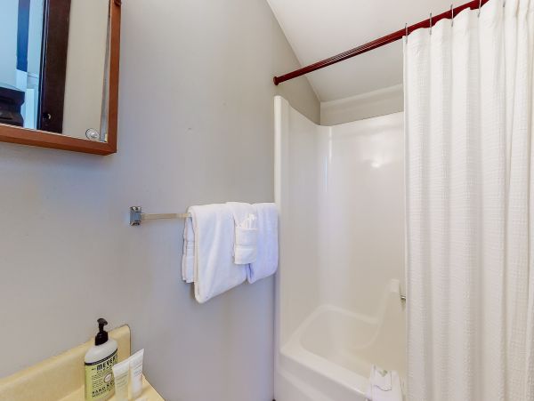 Breckenridge Condo 950037