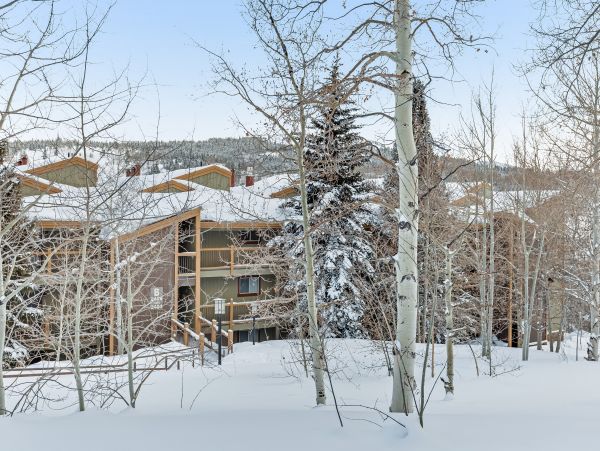 Breckenridge Condo 950037