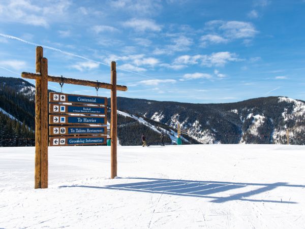 Beaver Creek Bachelor Gulch Home 950039