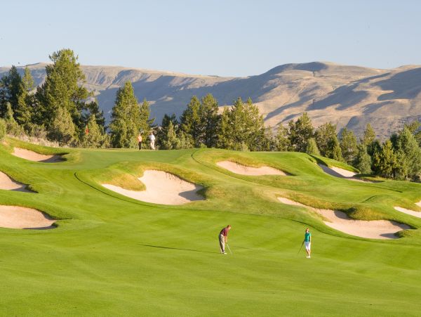 Beaver Creek Bachelor Gulch Home 950039