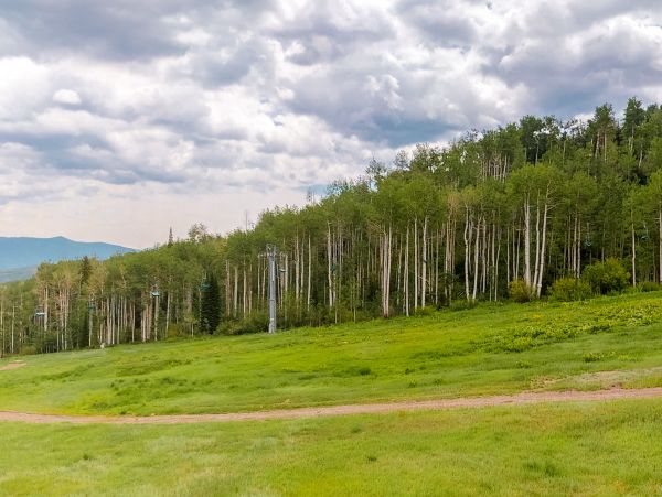 Ski In/Out 2 Bedroom Snowmass Rental