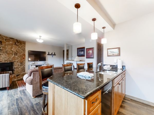 Steamboat Springs Condo 950043