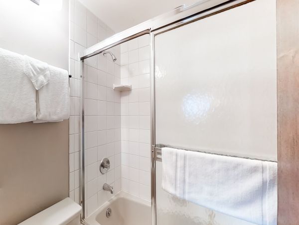 Steamboat Springs Condo 950043
