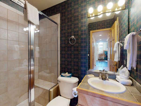 Steamboat Springs Home 950046