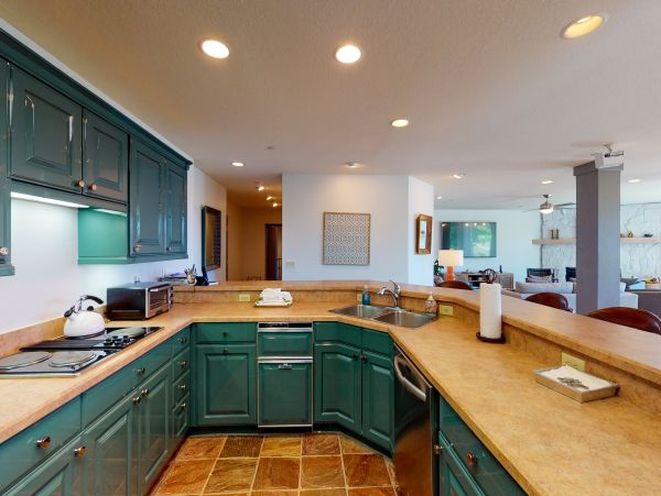 Ski in Ski out Snowmass Villa