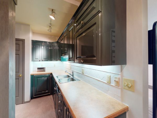 Ski in Ski out Snowmass Villa