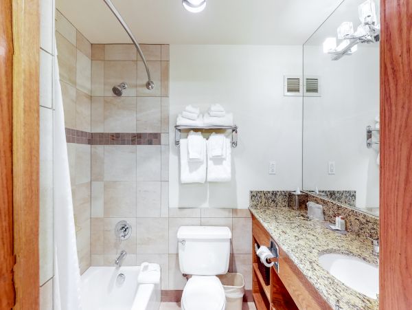 Aspen Condo 950055