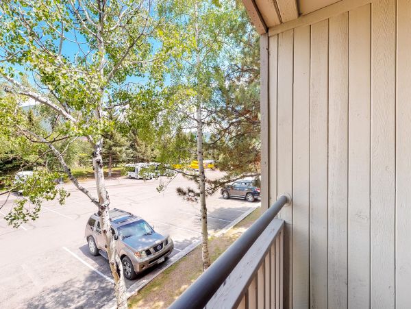 Aspen Condo 950055
