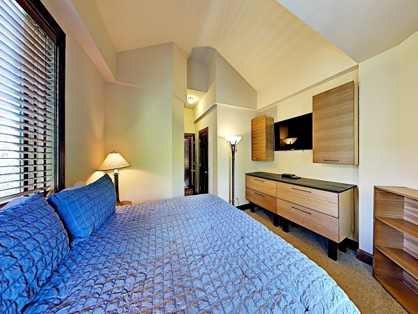 Snowmass Condo 950057