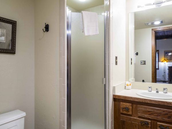 Steamboat Springs Condo 950061