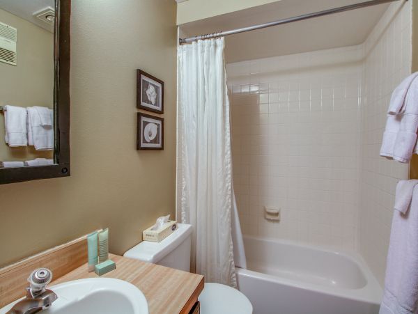 Aspen Condo 950062