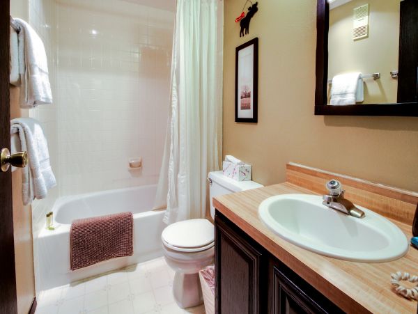 Aspen Condo 950062