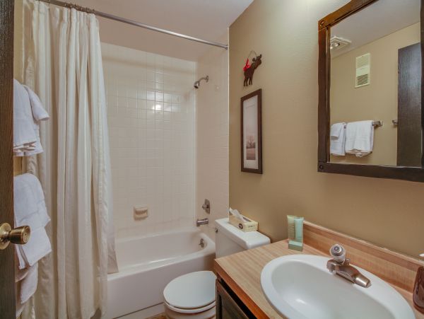 Aspen Condo 950062