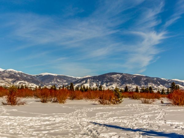 Breckenridge Condo 950064