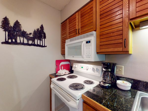 Steamboat Springs Condo 950066