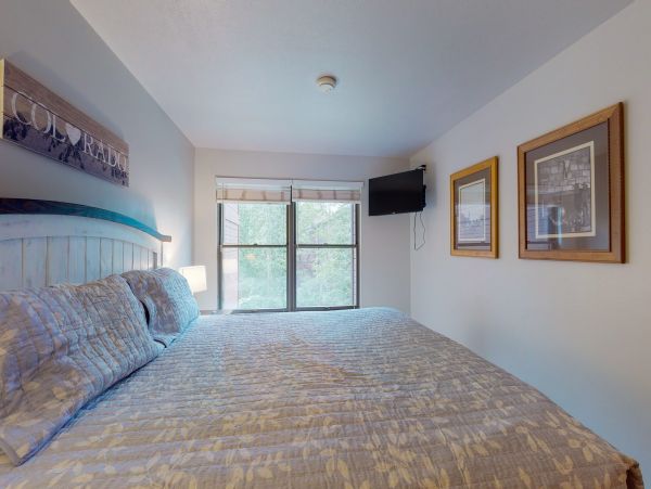 Steamboat Springs Condo 950066