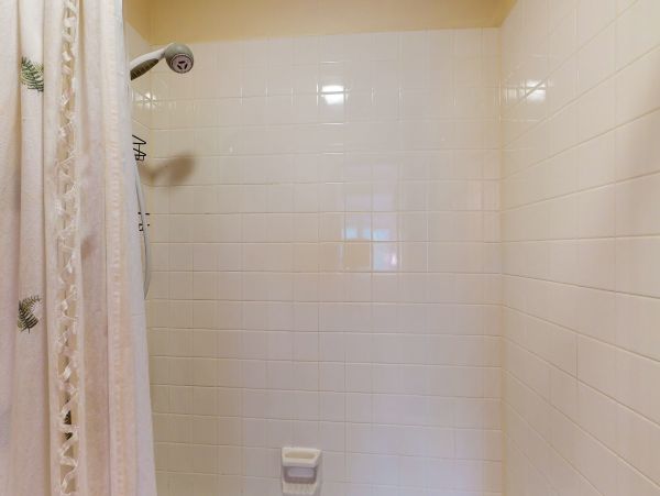 Steamboat Springs Condo 950066