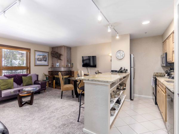 Vail Lionshead Condo 950069