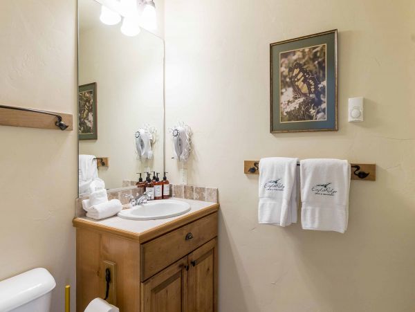 Steamboat Springs Condo 950074