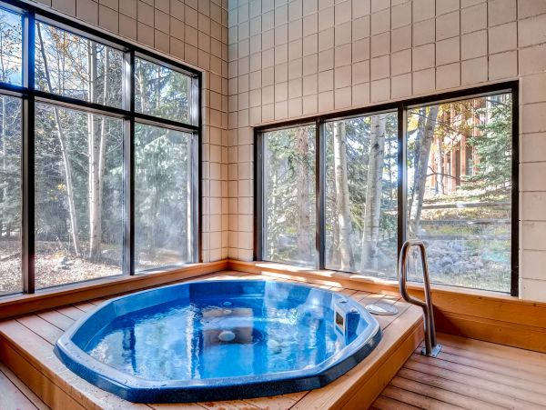 Breckenridge Condo 950075