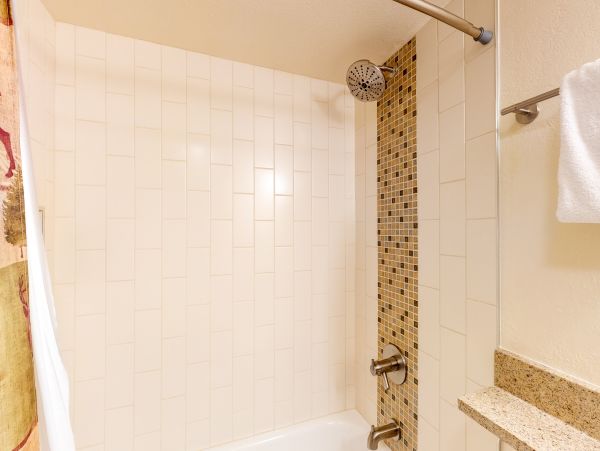 Steamboat Springs Condo 950076