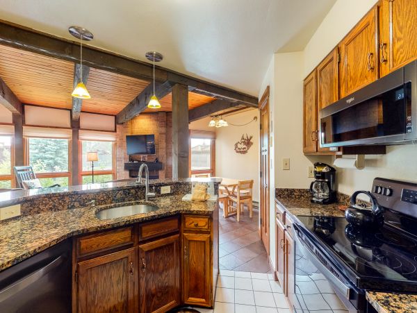 Steamboat Springs Condo 950076