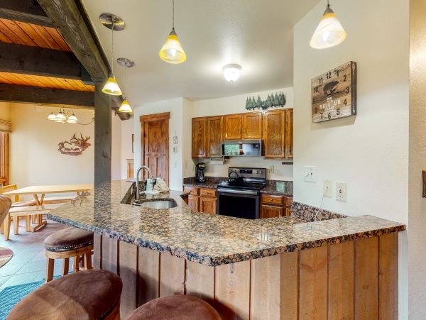 Steamboat Springs Condo 950076