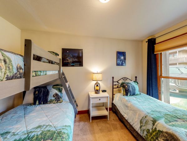 Steamboat Springs Condo 950076