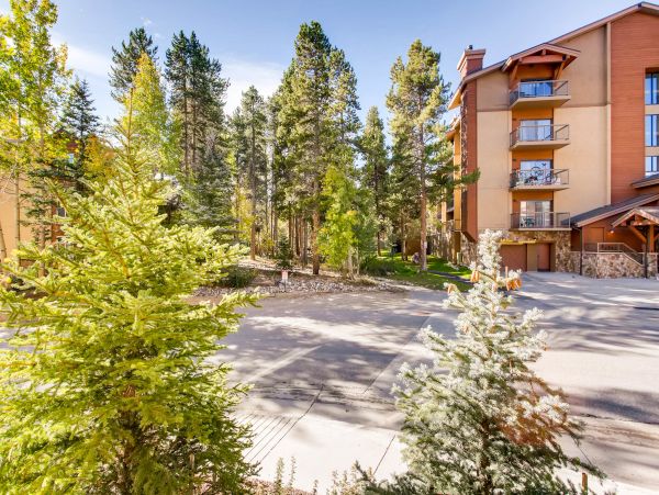 Breckenridge Condo 950078