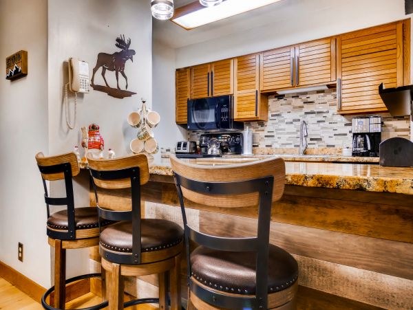 Steamboat Springs Condo 950084
