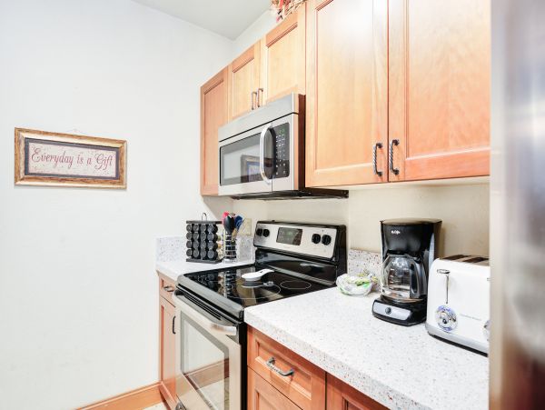 Breckenridge Condo 950086