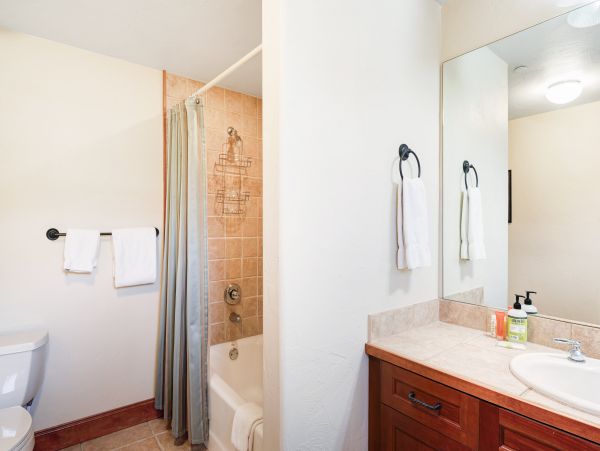 Breckenridge Condo 950086