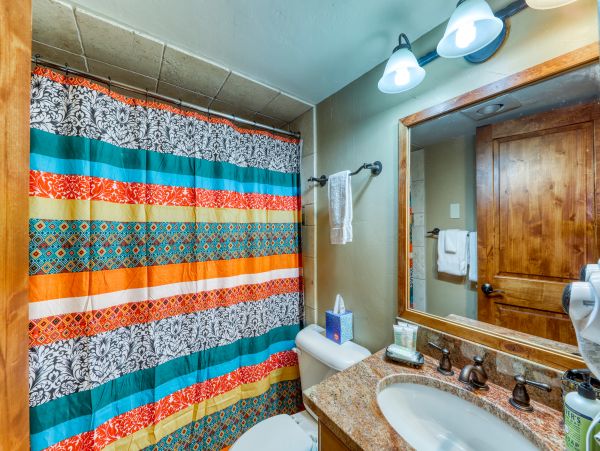 Steamboat Springs Condo 950091