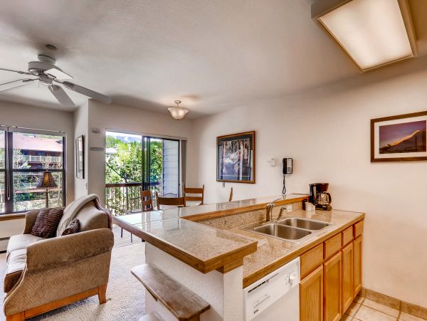 Breckenridge Condo 950100
